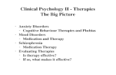 1 Clinical Psychology II - Therapies The Big Picture Anxiety Disorders Cognitive Behaviour Therapies and Phobias Mood Disorders Medication and Therapy