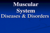 Muscular System Diseases & Disorders. MYOPATHY STRAINS Tendon- Muscle to Bone Tendon- Muscle to Bone Overexertion on muscle Overexertion on muscle Repair