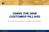 USING THE NINE CUSTOMER PILLARS To grow your revenues, profits, and income   copyright Strive Coaching Inc, 2008