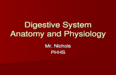 Digestive System Anatomy and Physiology Mr. Nichols PHHS