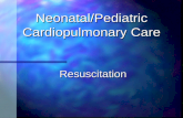 Neonatal/Pediatric Cardiopulmonary Care Resuscitation