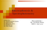 Electrophoresis & Spectrophotometry