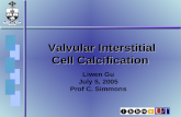 Valvular Interstitial Cell Calcification