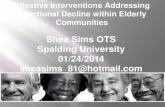 Shea Sims OTS Spalding University 01/24/2014 sheasims_81@