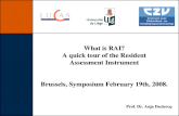 What is RAI? A quick tour of the Resident Assessment Instrument Brussels, Symposium February 19th, 2008. Prof. Dr. Anja Declercq