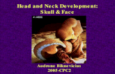Head and Neck Development: Skull & Face Audrone Biknevicius 2005-CPC2