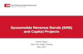 Systemwide Revenue Bonds (SRB) and Capital Projects