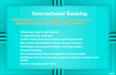 International Banking Motivations: Access to dollar and Eurocurrency deposits and international saving markets. uTasks of International Banking: