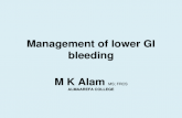 Management of lower GI bleeding M K Alam MS; FRCS ALMAAREFA COLLEGE