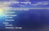 Underwater imaging Exposure Exposure Aperture and shutter speed Aperture and shutter speed Illumination Illumination Digital images Digital images Formats