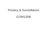Privacy & Surveillance COM125B. Introduction Privacy Online Identity Theft Prevention of ID Theft Surveillance Sousveillance