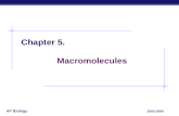 AP Biology 2005-2006 Chapter 5. Macromolecules. AP Biology 2005-2006 Macromolecules ï‚§ Smaller organic molecules join together to form larger molecules