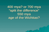400 mya? or 700 mya â€œsplit the differenceâ€‌ 550 mya age of the Wichitas?