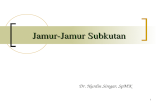 Jamur-Jamur Subkutan