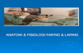 Anatomi & Fisiologi Faring & Laring