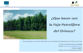 Qu© Hacer Con La Faja Petrol­fera del Orinoco - Francisco J. Larra±aga - Foro Petrolero PLC 26-11-15