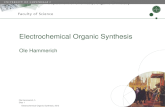 Electrochemical Organic Synthesis Ole Hammerich