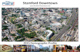 Stamford Downtown Demographics