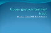Dr.Ishara Maduka M.B.B.S. (Colombo). Surgical conditions affecting upper GI tract Oral cancer Dysphagia and Oeasophageal cancer Dyspepsia and GORD Peptic