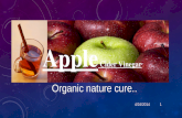 Apple Cider Vinegar ORGANIC NATURE CURE.. 4/24/20141