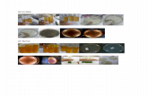 Gambar Mikrobiologi Air