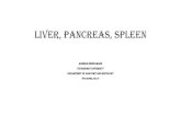 LIVER, PANCREAS, SPLEEN - .b. incisura lig. teretis . lobes of the liver (lobus hepatis) in carnivores: