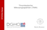 Thrombotische Mikroangiopathien (TMA) .Untersuchungen zur Differentialdiagnose *Genetische Tests