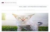 FELINE HYPERTHYREOSE - .biocontrol / feline hperthreose biocontrol / feline hperthreose 06 07 ft4