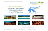 Sulawesi - reisewelt- Toraja Rundreise Makassar 14.08. â€“ 02.09.2012 Reiseveranstalter: Aqua Venture