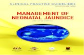 Management of Neonatal Jaundice (Second Edition) Managment of Neonatal Jaundice...¢  Management of Neonatal