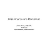 Factorii de produc¥£ie Produc¥£ia Combinarea prodfa Combinarea factorilor de produc¥£ie: Realizarea