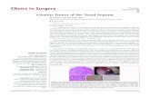 Glomus Tumor of the Nasal Septum - Title: Glomus Tumor of the Nasal Septum Author: Po-Jun Chen and Hsin-Chien