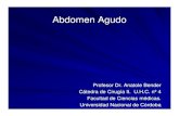 Abdomen Agudo - blogs.unc.edu.ar ¢â‚¬¢Dispepsia biliar colecistitis ¢â‚¬¢S£­ndrome ac. Sensitivo £‘lcera