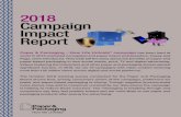 2018 Campaign Impact Report - environmental impact. Despite their concern, consumers still feel strongly