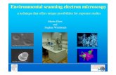 Environmental scanning electron microscopy Environmental scanning electron microscopy a technique that