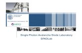 Single Photon Avalanche Diode Laboratory e presentazioni/2013SPADlab_SSN.pdf¢  Single Photon Avalanche