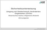 Umgang mit Gentechnisch Ver£¤nderten Organismen (GVOs) Abteilung Allgemeine Botanik Fakult£¤t Chemie