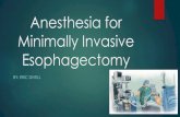 Anesthesia for Minimally Invasive Early Surgical Approaches Dr. Franz Torek Pioneer in thoracic surgery