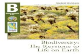 Biodiversity: The Keystone to Life on Earth Biodiversity¢â‚¬â€‌Earth¢â‚¬â„¢s Living Riches. Key Unit Vocabulary