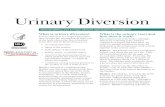 What is urinary diversion? What is the urinary tract and What is urinary diversion? Urinary diversion
