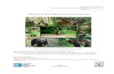 Action Plan for Brown Bear Ursus arctos Conservation Despite its rarity in Latvia, the brown bear Ursus