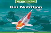 Koi Nutrition - tetra.net /media/downloads/brochures_int/koi- Koi Nutrition For more information: