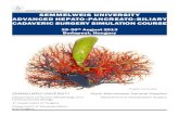 SEMMELWEIS UNIVERSITY ADVANCED HEPATO-PANCREATO The Semmelweis University Advanced Hepato-Pancreato-Biliary