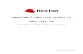 OpenShift Container Platform 3 OpenShift Container Platform 3.11 Developer Guide OpenShift Container