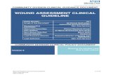 WOUND ASSESSMENT CLINICAL GUIDELINE Wound Assessment Clinical Guideline Skin Care Service March 2018
