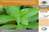 Establecimiento y mantenimiento - Stevia Endulzante ... Paquete Tecnol£³gico Estevia (Stevia rebaudiana)