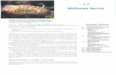 Molluscan Success Molluscan  ¢  11 Molluscan Success This maiine nudibmnch (Chromodoris kuniei)