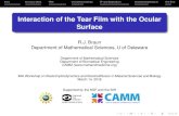 Interaction of the Tear Film with the Ocular Surface Interaction of the Tear Film with the Ocular Surface
