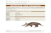 Aardvark and Pangolin - Aardvark and pangolin then tried leaves, grass, bark, flowers, seeds, and even