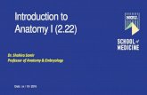 Introduction to Anatomy I (2.22)it.ngu.edu.eg/Downloads/Links/week2/Wednesday/2.22 Introduction to...¢ 